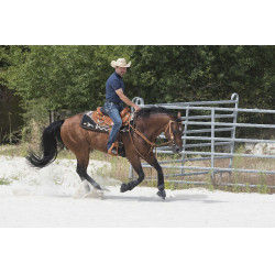 Sela Westride por Franck Perret Aurora Avelã Castanho Sela Westride por Franck Perret Aurora Avelã Castanho