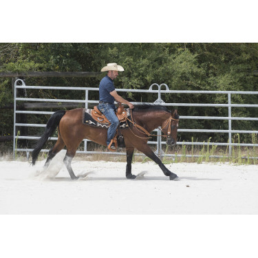 Sela Westride por Franck Perret Aurora Avelã Castanho Sela Westride por Franck Perret Aurora Avelã Castanho