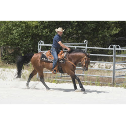 Sela Westride por Franck Perret Aurora Avelã Castanho Sela Westride por Franck Perret Aurora Avelã Castanho