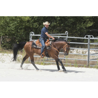 Sela Westride por Franck Perret Aurora Avelã Castanho Sela Westride por Franck Perret Aurora Avelã Castanho