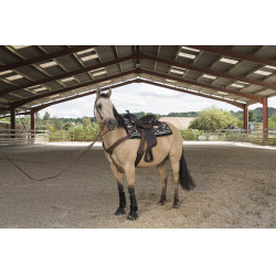 Sela Westride por Franck Perret Arvada Chocolate Castanho