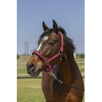 Cabezada Norton 4lines Bordéus Bord&amp;ocirc;