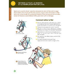 Galopes 1 e 2 Nova edição
