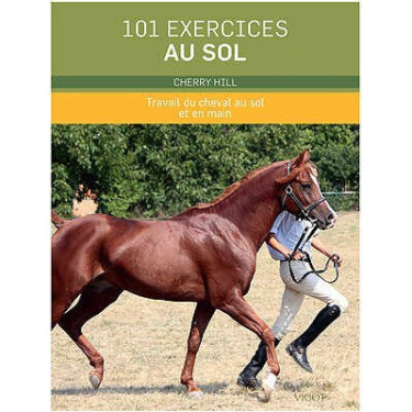 101 exercícios no chão
