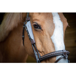 Protetores oculares australianos Pénélope Havana Castanho