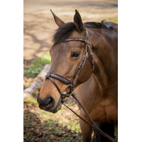 Bridon Pénélope Smoothie Havana Castanho Bridon Pénélope Smoothie Havana Castanho