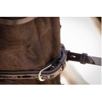 Bridon Pénélope Smoothie Preto Bridon Pénélope Smoothie Preto