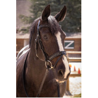 Bridon Pénélope Smoothie Havana Castanho Bridon Pénélope Smoothie Havana Castanho