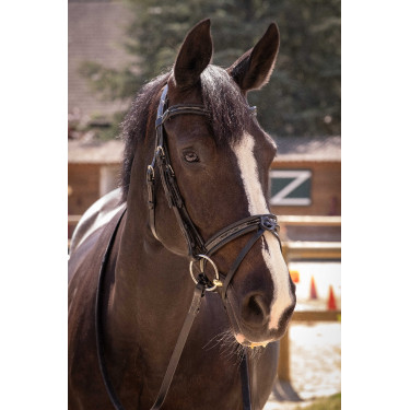 Bridon Pénélope Smoothie Preto