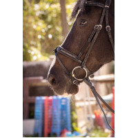 Bridon Pénélope Smoothie Havana Castanho Bridon Pénélope Smoothie Havana Castanho