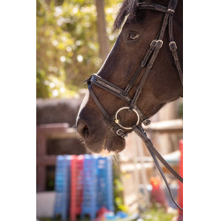 Bridon Pénélope Smoothie Preto