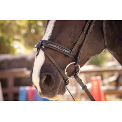 Bridon Pénélope Smoothie Preto