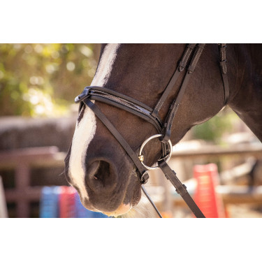 Bridon Pénélope Smoothie Preto