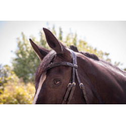 Bridon Pénélope Smoothie Preto