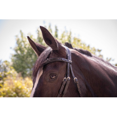 Bridon Pénélope Smoothie Preto