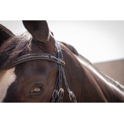 Bridon Pénélope Smoothie Preto