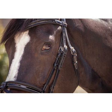 Bridon Pénélope Smoothie Preto