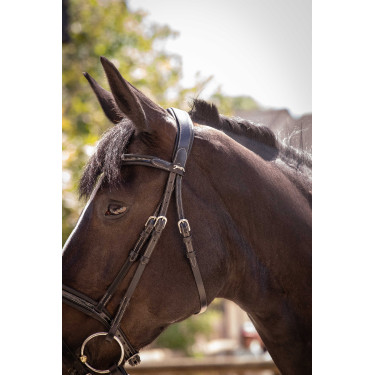 Bridon Pénélope Smoothie Preto