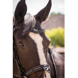 Bridon Pénélope Smoothie Preto