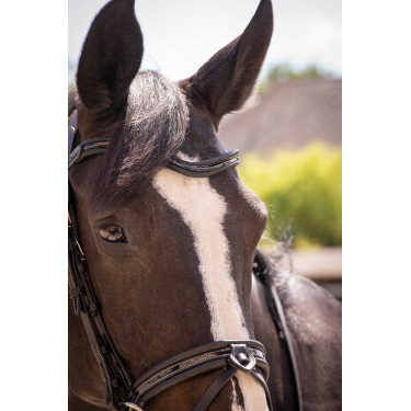 Bridon Pénélope Smoothie Preto