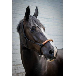 Cabresto etológico Pénélope americano Preto