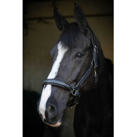 Caveira de couro Pénélope Point Sellier Preto