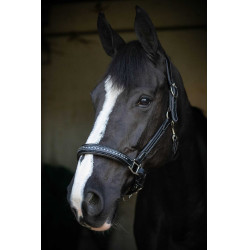 Caveira de couro Pénélope Point Sellier Preto