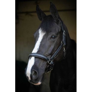 Caveira de couro Pénélope Point Sellier Preto