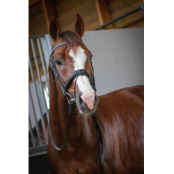 Bridon Pénélope Daily Preto