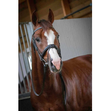 Bridon Pénélope Daily Preto Bridon Pénélope Daily Preto