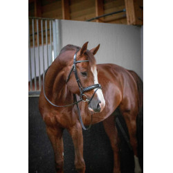 Bridon Pénélope Daily Preto