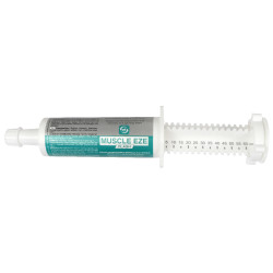 Suplemento alimentar LPC Muscle Eze Flash