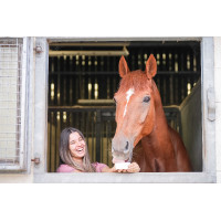 Pedra de lamber Little Likit