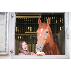 Pedra de lamber Little Likit Pedra de lamber Little Likit