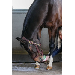 Pedra de lamber Little Likit Pedra de lamber Little Likit