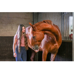 Pedra de lamber Little Likit Pedra de lamber Little Likit