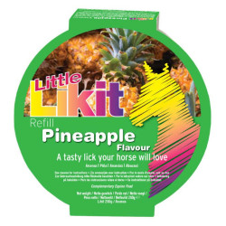 Pedra de lamber Little Likit