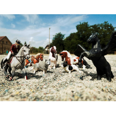 Cavalo de competição e sua cavaleira Papo