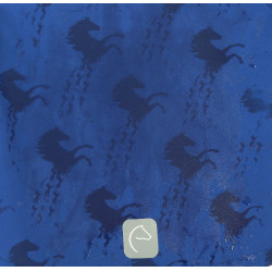 Softshell Equi-Kids Amandine Azul-marinho