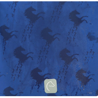 Softshell Equi-Kids Amandine Azul-marinho