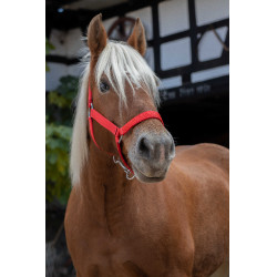 Cabresto Norton Pro para cavalo de tração Vermelho