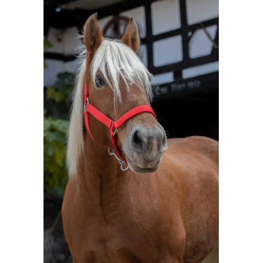 Cabresto Norton Pro para cavalo de tração Vermelho