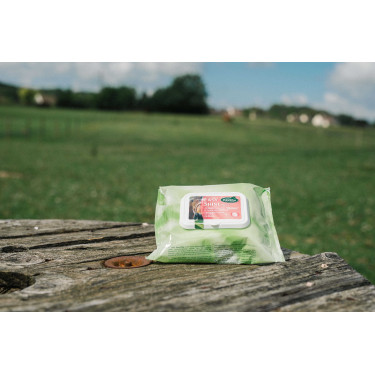 Easy Shine Wipe Ravene Toalhetes de limpeza