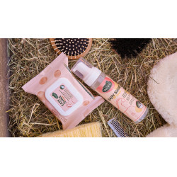 Easy Shine Wipe Ravene Toalhetes de limpeza