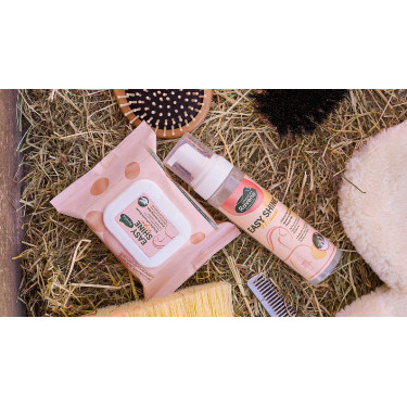 Easy Shine Wipe Ravene Toalhetes de limpeza