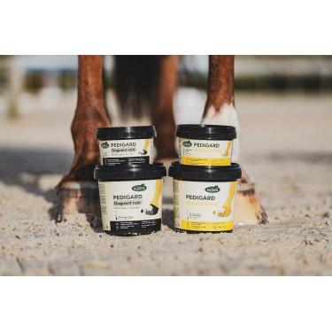 Pediguard Ravene Unguento loiro Pediguard Ravene Unguento loiro