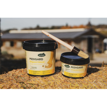 Pediguard Ravene Unguento loiro Pediguard Ravene Unguento loiro