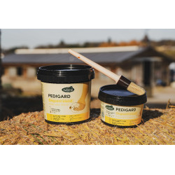 Pediguard Ravene Unguento loiro Pediguard Ravene Unguento loiro