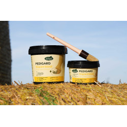 Pediguard Ravene Unguento loiro Pediguard Ravene Unguento loiro