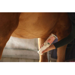 Easy Shine Intense Ravene recarga Easy Shine Intense Ravene recarga